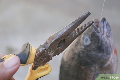 Сон: