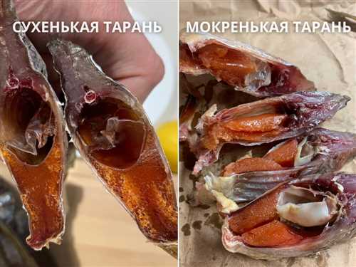 Сонник: