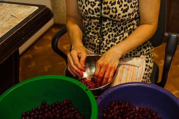 Сорта винограда, подходящие для чачи