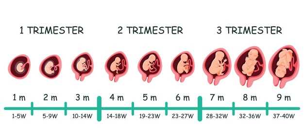 Что происходит на 8-й неделе беременности?