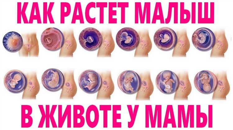 Важные
