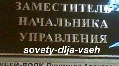 Популярные