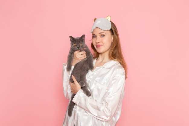 Сон о кошке: что он может предвещать?